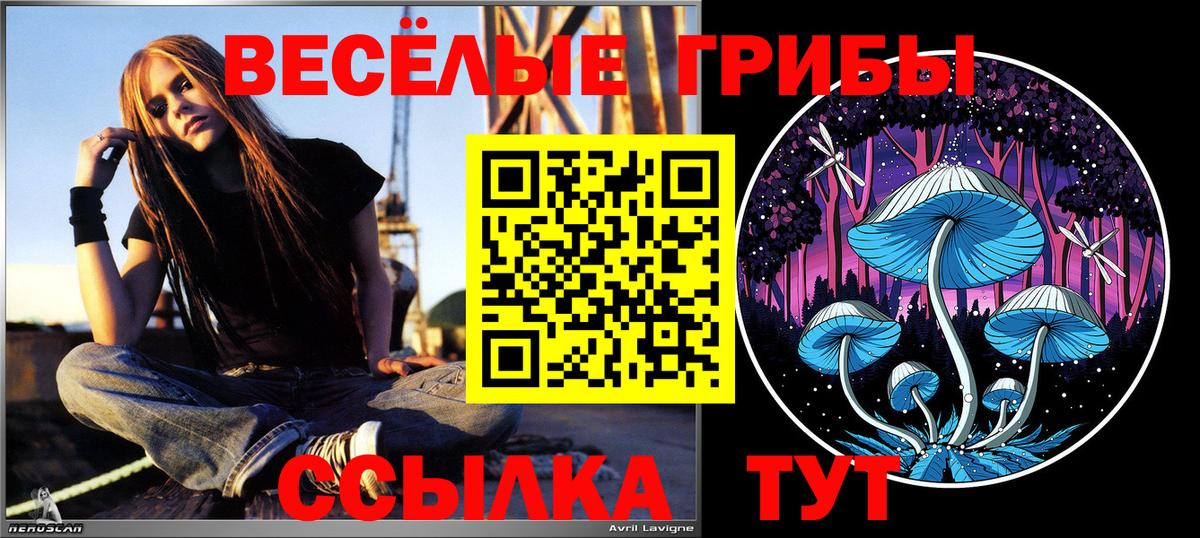 Галлюциногенные грибы прущие грибы Канск